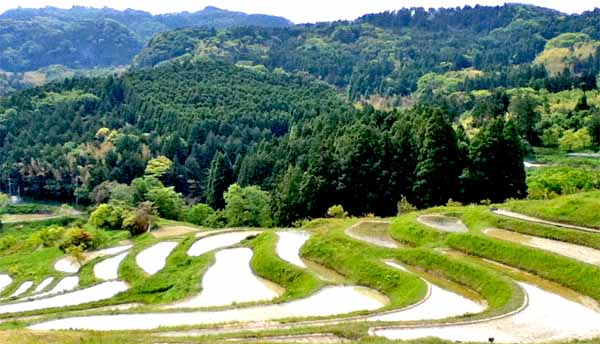 なぜ〝山の中〟に〝用水路〟は作られたか？　─房総丘陵の水利用